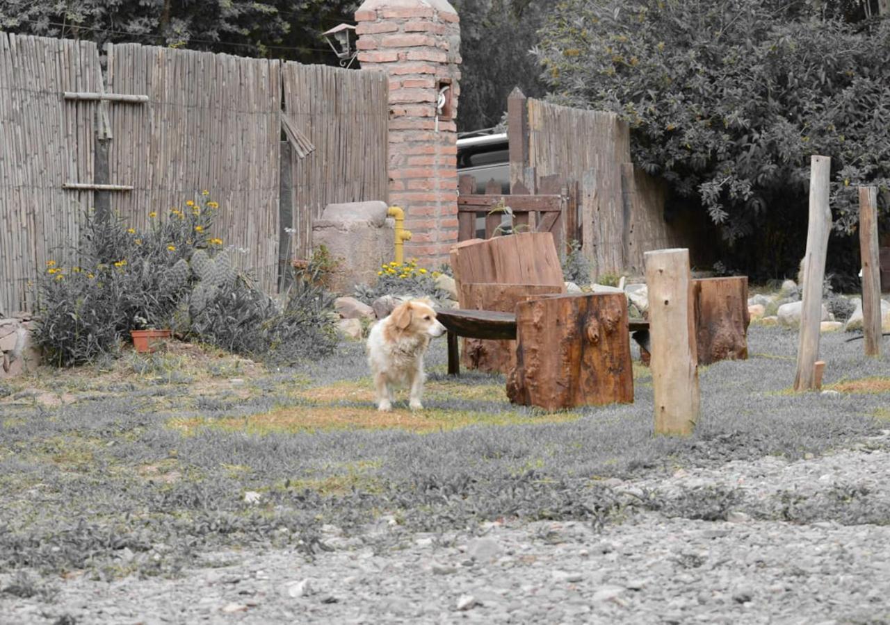 Hostal La Albahaca Tilcara Bagian luar foto