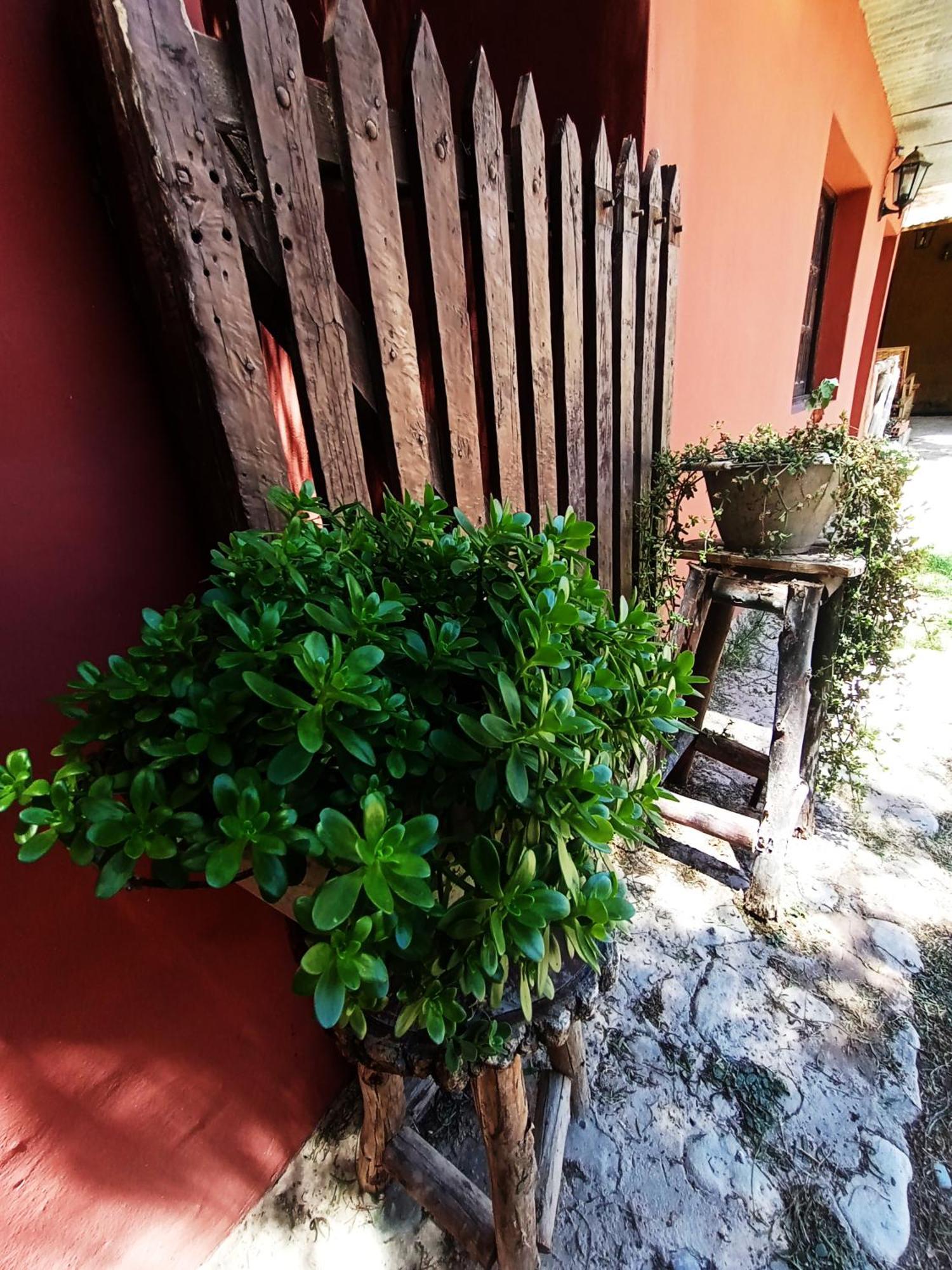 Hostal La Albahaca Tilcara Bagian luar foto